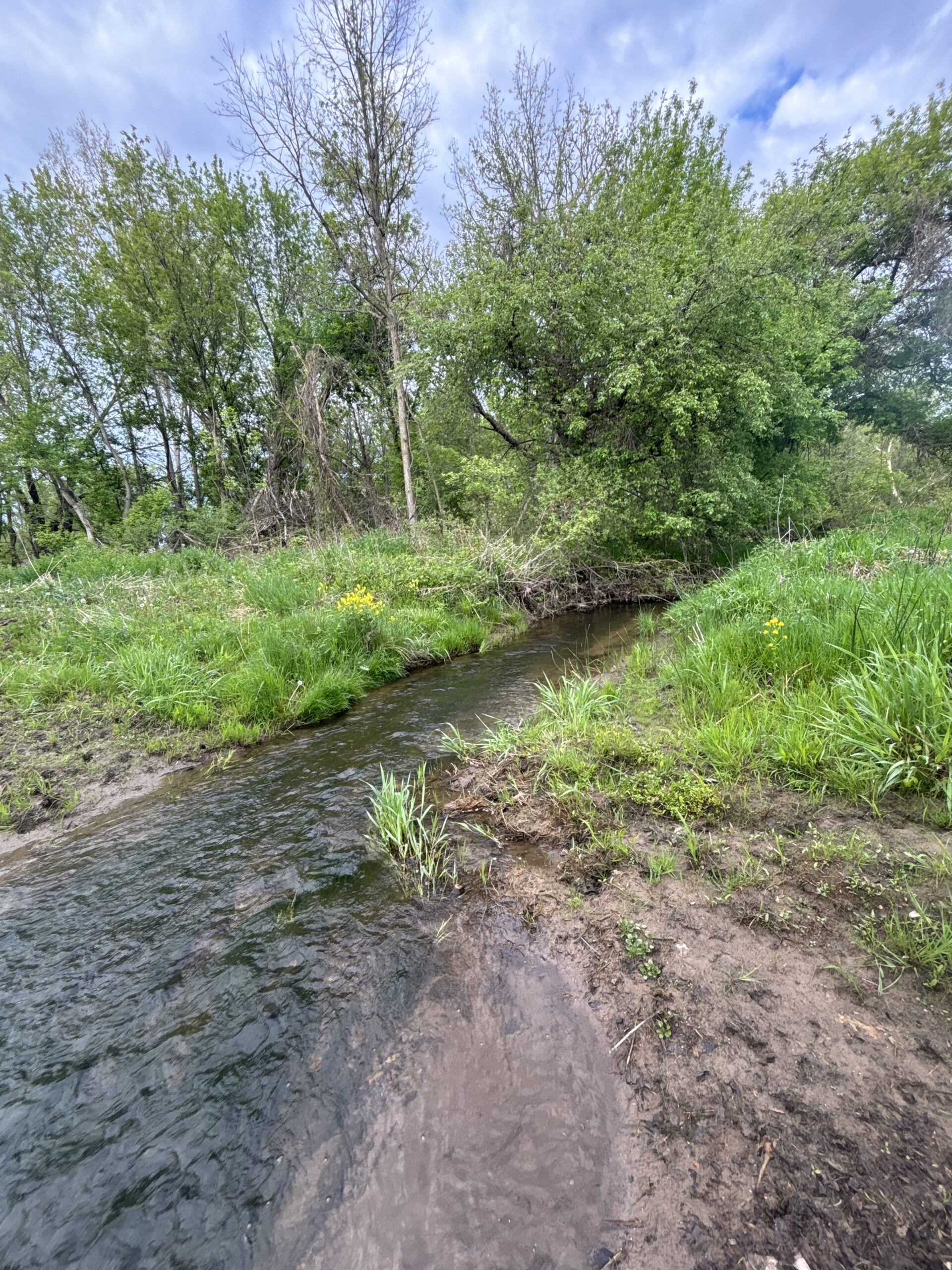 County, MI Big Buck Leasing