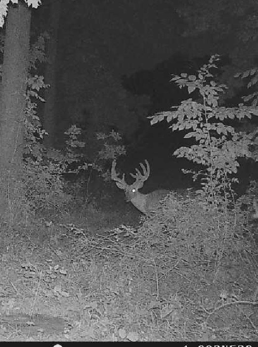 Lease image